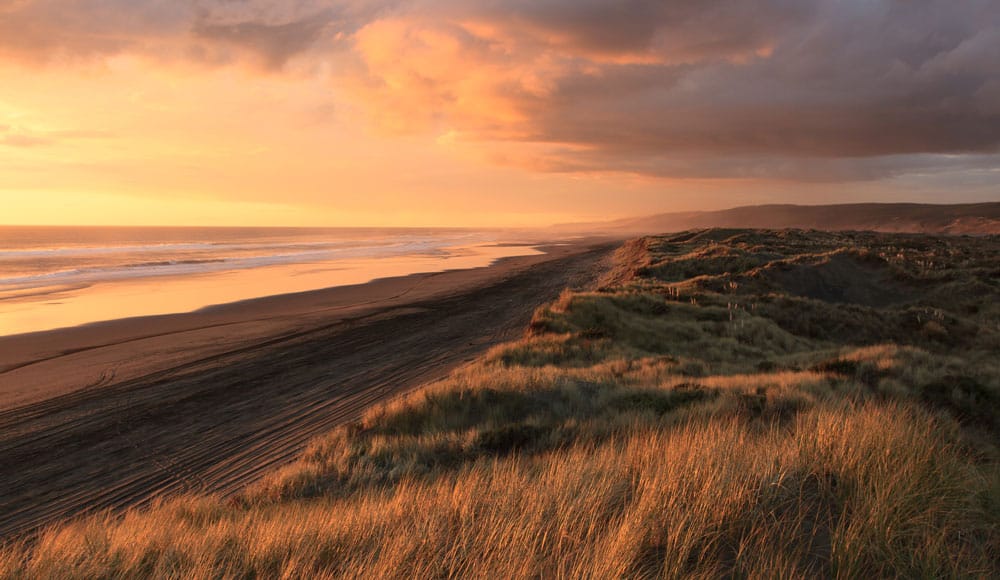 elements_beach_grass_clouds